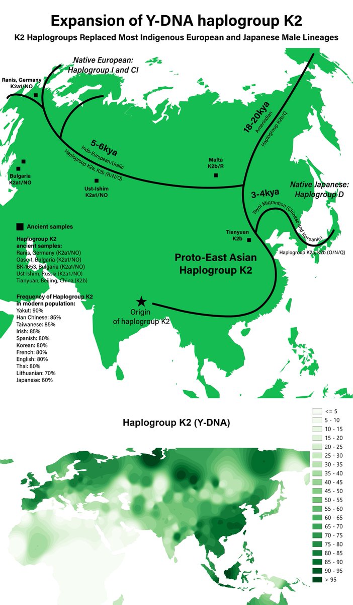 based_eastern's tweet photo. @Kidai_0001 @UsherArthur3 The entire haplogroups K2 are local in East Asia. https://t.co/8WnfDN89Hy