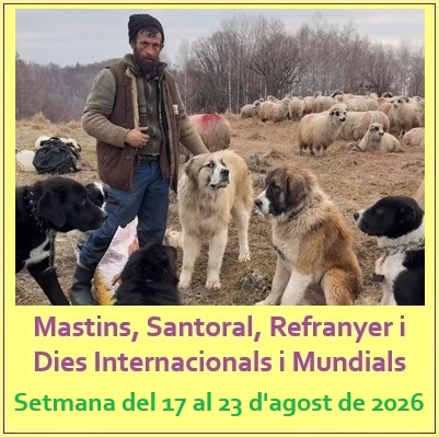casanyas's tweet photo. Dilluns, 17 d'agost de 2026.
Bon dia, un somriure, un petó i una abraçada al de matí.
Santoral: Sant Jacint de Polònia. Refranyer: "A l'agost, la dalla no té repòs".
https://t.co/IUhhtXbdbF https://t.co/Qx03tGzzKb