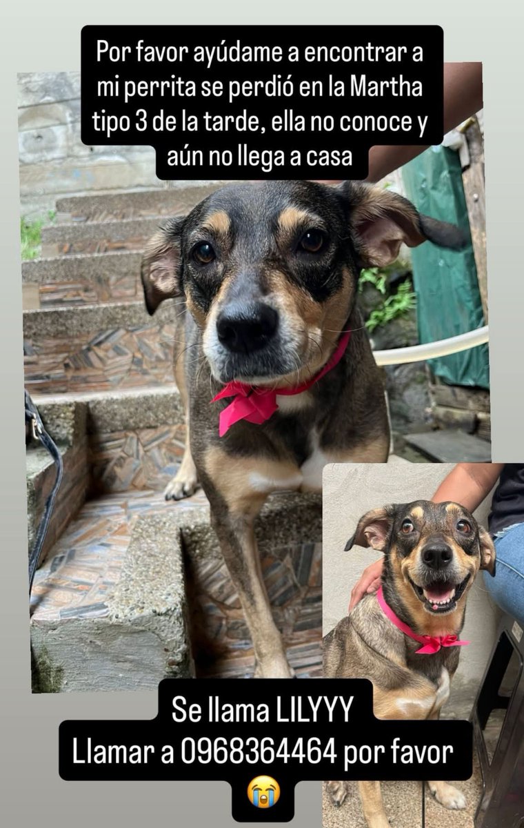 DefensoresAn's tweet photo. #Guayaquil Atención Martha de Roldós y zonas aledañas. SOS https://t.co/ka5zyBpcxs
