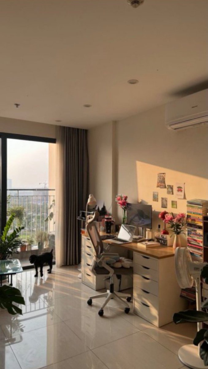 dailycorner98's tweet photo. The only perk of a west facing house? That golden afternoon sun ✨ https://t.co/sNNN1SUmnX