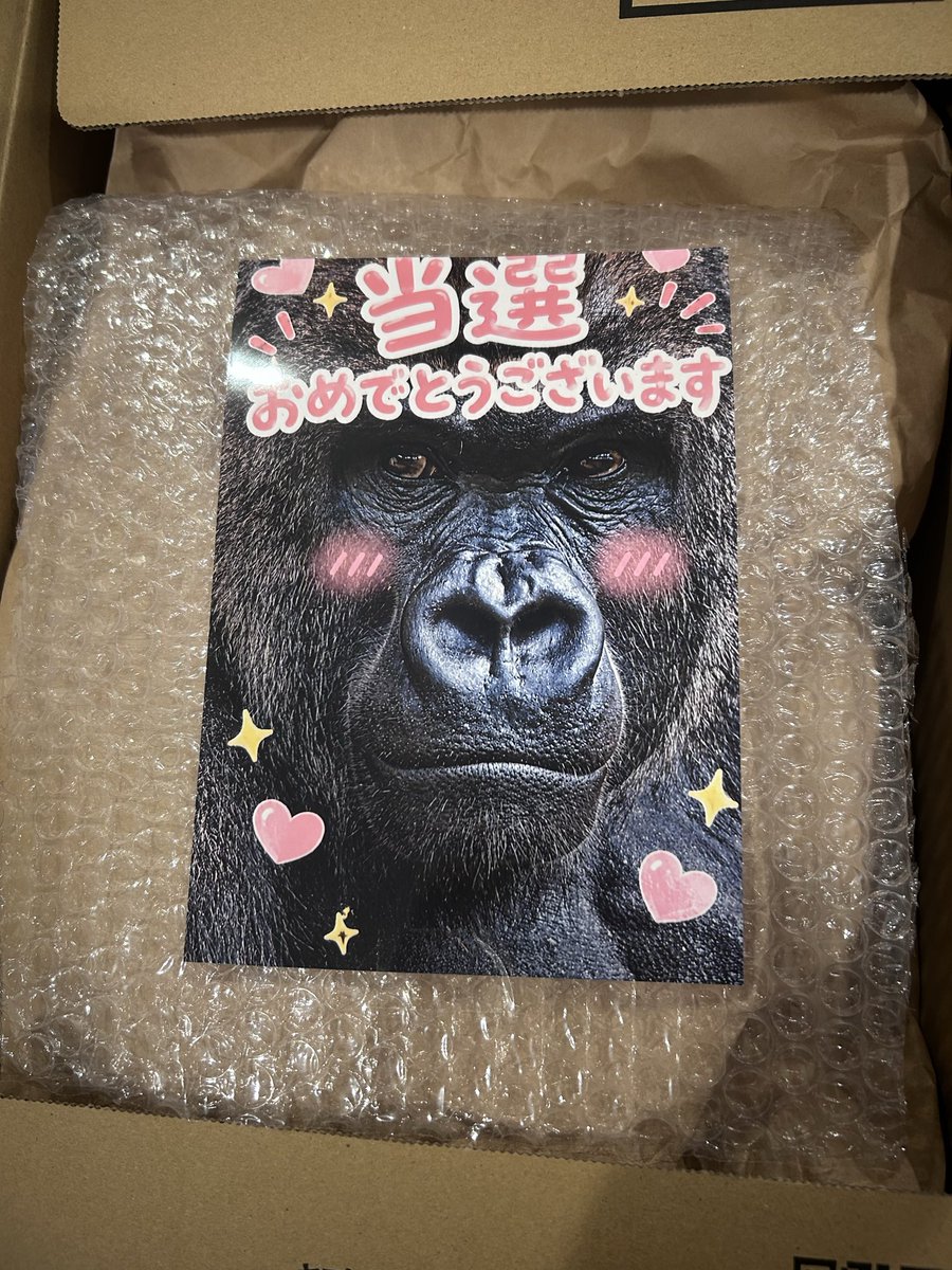 GedziGodzi's tweet photo. 【CCP BIGレトロソフビシリーズ】@Godzilla1995_16 ゴリラ-マンさんからのプレゼント、届きましたー！！！！🔥

大好きなバニゴジでした😍
CCPシリーズ初めてでしたが、とてもいいですね！！

ゴリラ-マンさん、ありがとうございました🙇大切に飾らせていただきます！！

#ゴジラ https://t.co/8zZ5SDAFko