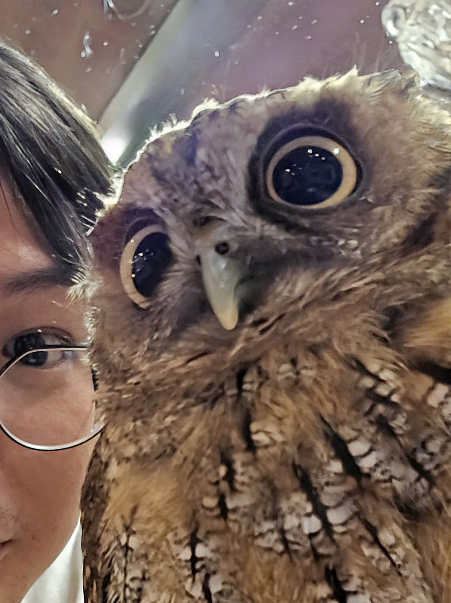 Dosed033's tweet photo. ツアーの合間に見に行った小さきものたちらぶりー🫶 https://t.co/98mNzPBv9t