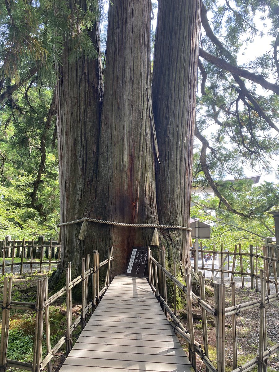 gorilla_desuyon's tweet photo. 日帰り長野旅行美味しかった https://t.co/IL8HythcAq
