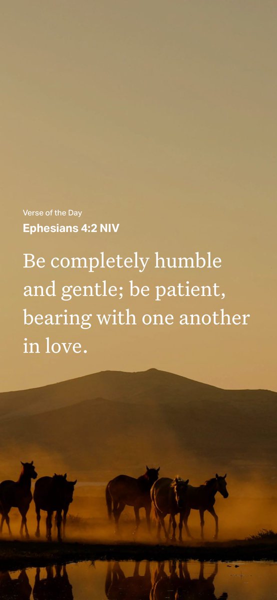 vickidailey8's tweet photo. N https://t.co/syWGCPquwc