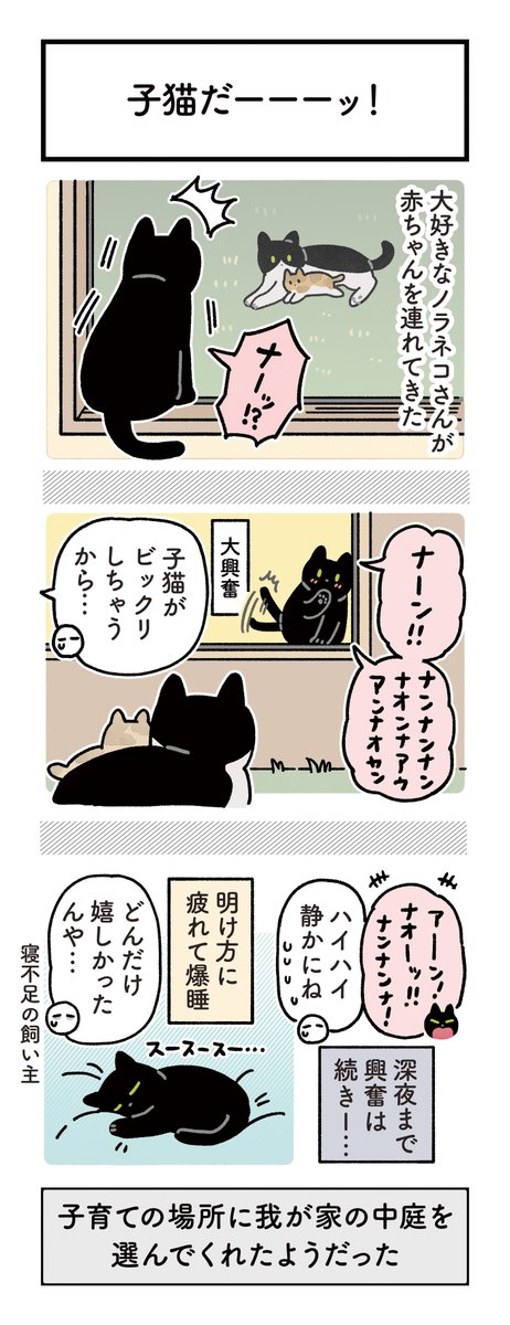 bou128's tweet photo. これから1年後、ノラネコさんが子猫を中庭に連れてきたときの絵日記です🎐（単行本5巻収録）
今日は黒猫感謝の日。ろんさんいつもありがとう

※ちなみにこのノラ親子はろんさんにスカウトされて今はうちの子となっています https://t.co/ZWUIcOzy8z
