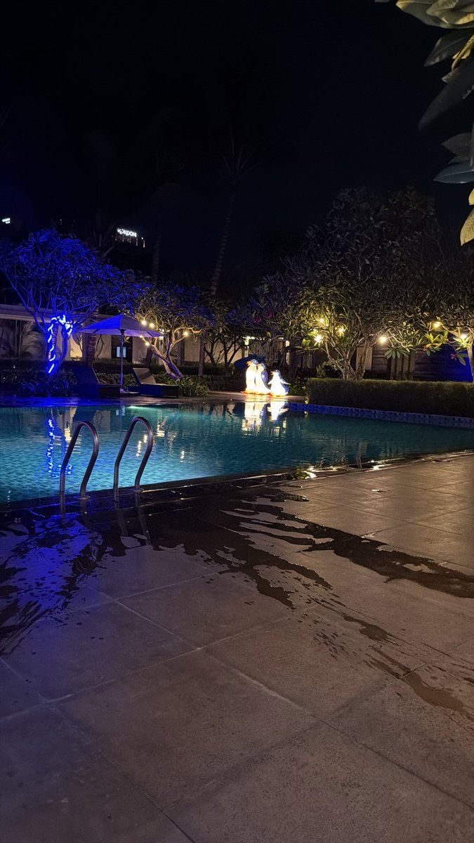 Infosarijadi's tweet photo. berenang dulu https://t.co/EZhpRGzrHd