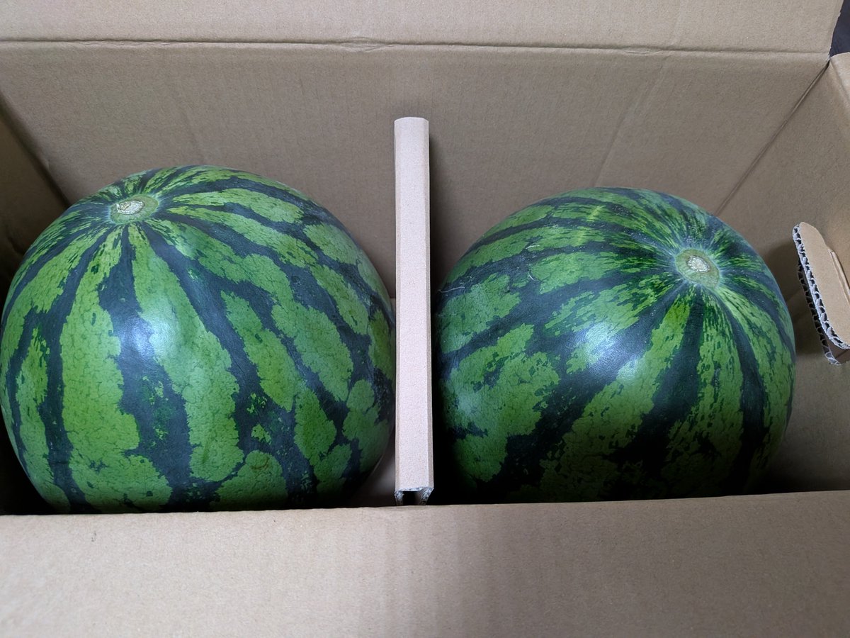 narichan55's tweet photo. 高崎さんちの大きなスイカ🍉再び！！
切る前に冷蔵庫のスペース確保せねば😅 https://t.co/hDoM0AVmAD