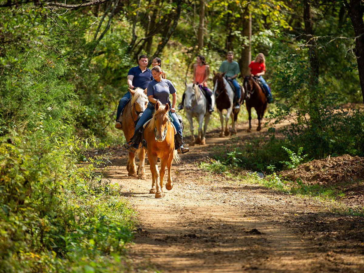 BigCreek's tweet photo. Gear up for the ultimate adventure day in the Smokies! 📷📷📷 Experience whitewater thrills with Big Creek Expeditions, zip through the treetops at Legacy Mountain Ziplines, and soak in stunning views on horseback at Five Oaks Riding Stables—all while saving over $50 per person. https://t.co/jd1iOwTl1V