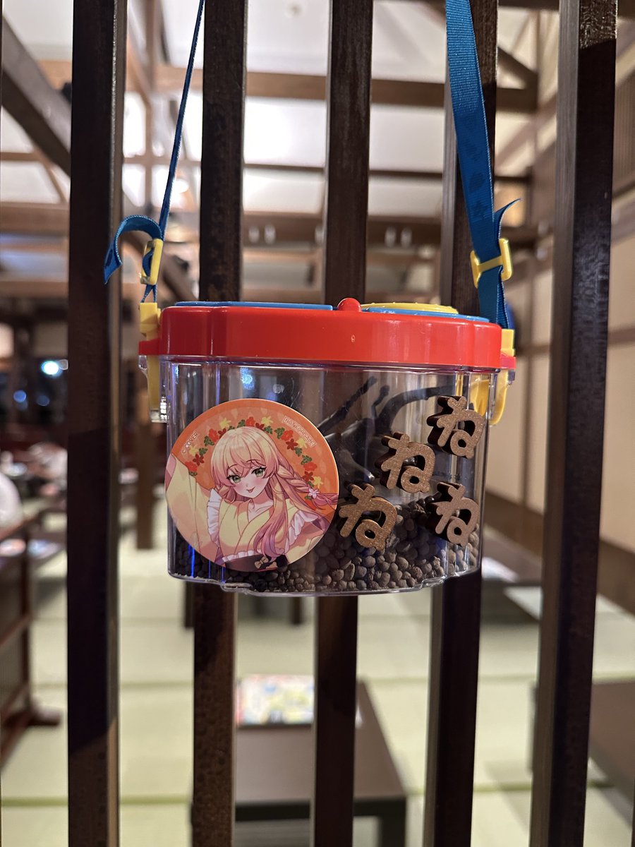 frenda_f32's tweet photo. 2度目のあずきち風呂

前回ねねちの虫かごあったっけ？
かわええ https://t.co/FK5sSwEJGN