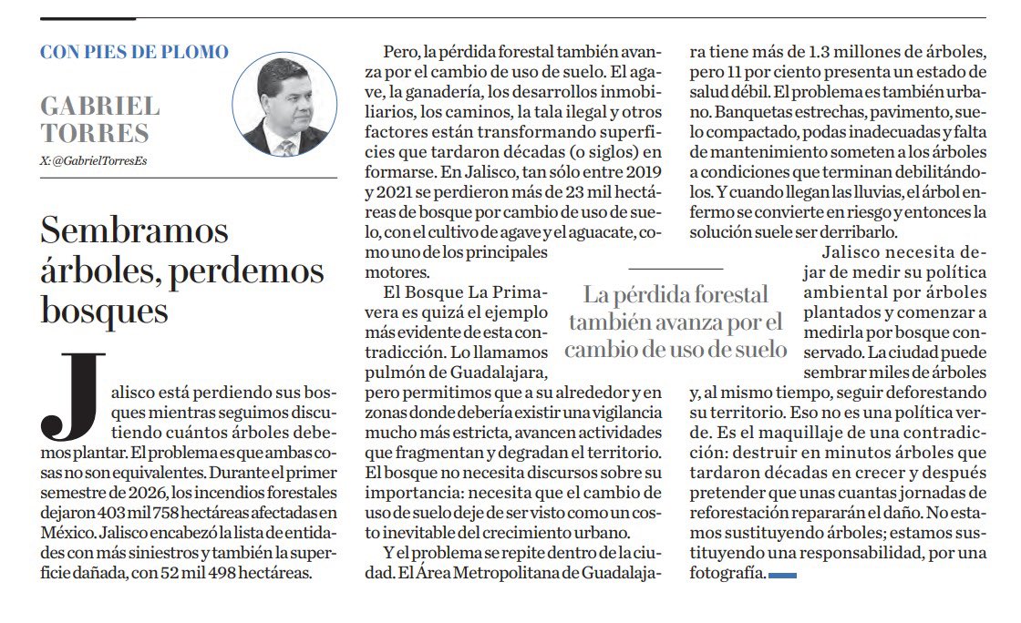 GabrielTorresEs's tweet photo. La ciudad puede sembrar miles de árboles y, al mismo tiempo, seguir deforestando su territorio. Eso no es una política verde. Es el maquillaje de una contradicción: destruir en minutos árboles que tardaron décadas en crecer y después pretender que una reforestación repararán el daño.
https://t.co/5GWkvZJmBA