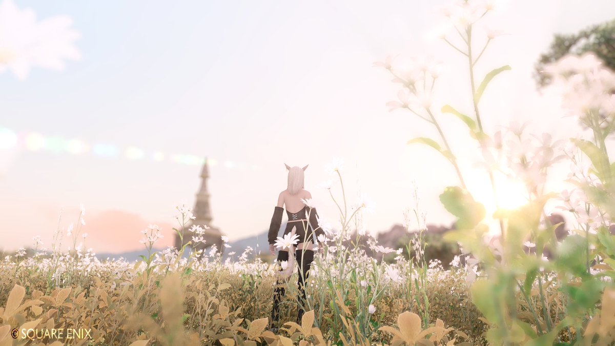 mora_ff14's tweet photo. ポッド沸き待ち中
＃FF14 https://t.co/Gir1kuiNnE
