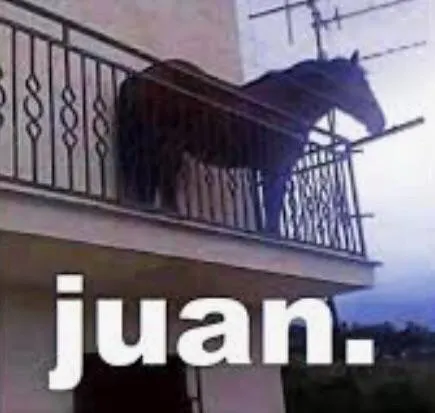 DesignIsPassion's tweet photo. Hello brother, since i created Juan i tried but it has been really hard,

i received many dms asking me to collab with you, i will create Juan meme, and send the fees to you?

Will link the socials and contract address to my first official ever Juan post on instagram.

leaving this as a public message so all can see.

i saw they created a scam of juan last night and send you the fees, i did not endorse the meme.