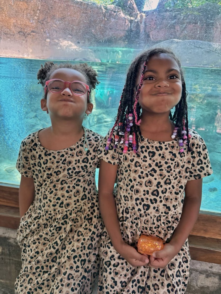 LEVEL_13's tweet photo. ๐ฏ Summers in Philly
๐ @PhillyZoo1
๐ https://t.co/2kUXKry4RN
#dadlife #girldad #gooddadgang #undergroundhiphop #howphillyseesphilly #philly #phillygram #howphillyseesphilly https://t.co/GlVWaFav6z