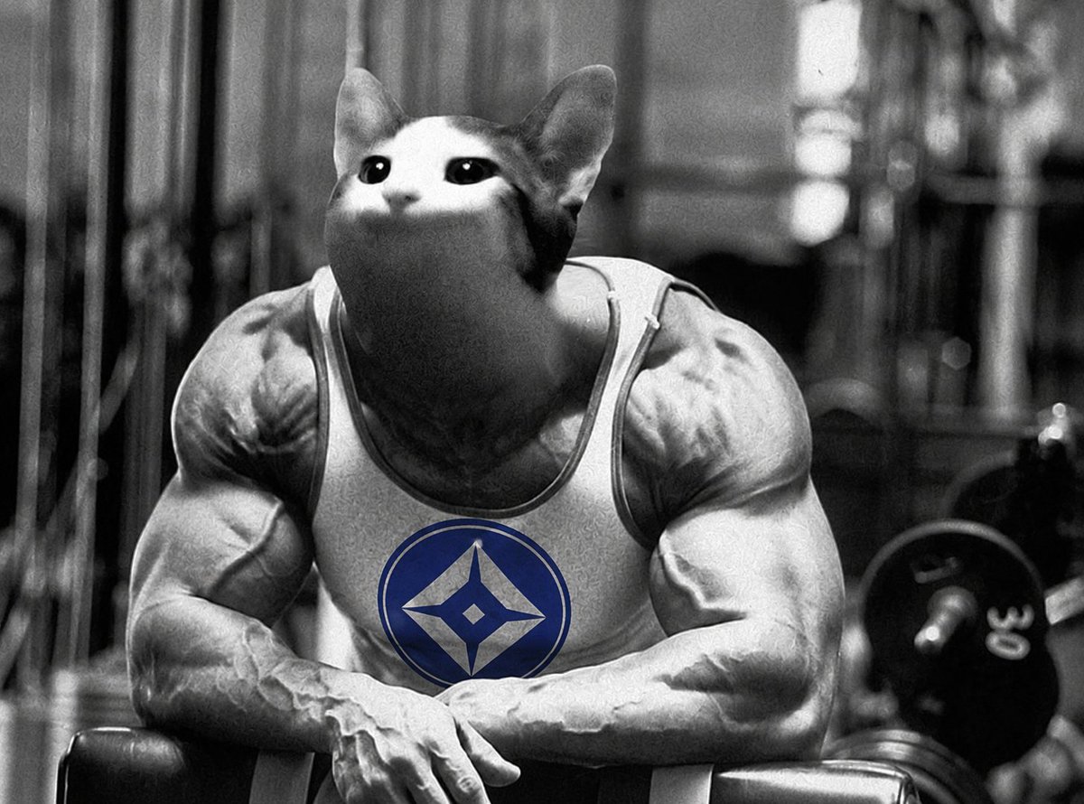 BasedPopCat_x's tweet photo. $basedpopcat pumps. https://t.co/Qu5SgPCWfg