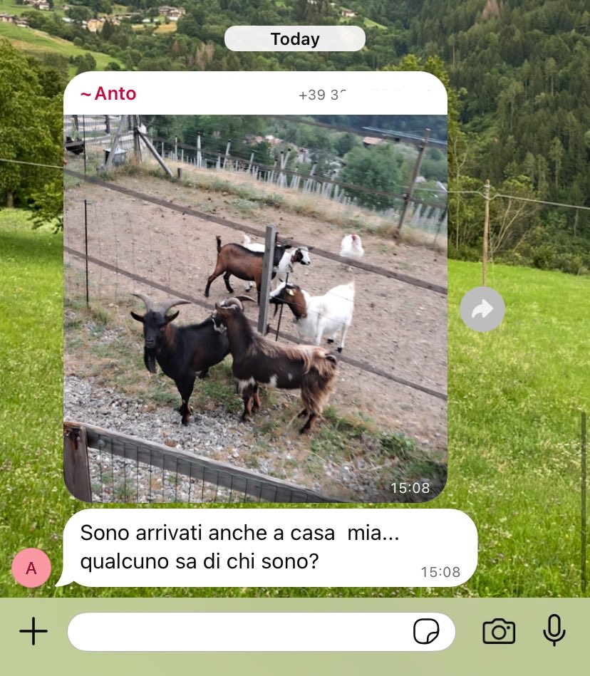 osrdel's tweet photo. il gruppo whatsapp del mio paesino... i'll keep you guys updated https://t.co/9BSRJ6u6k0