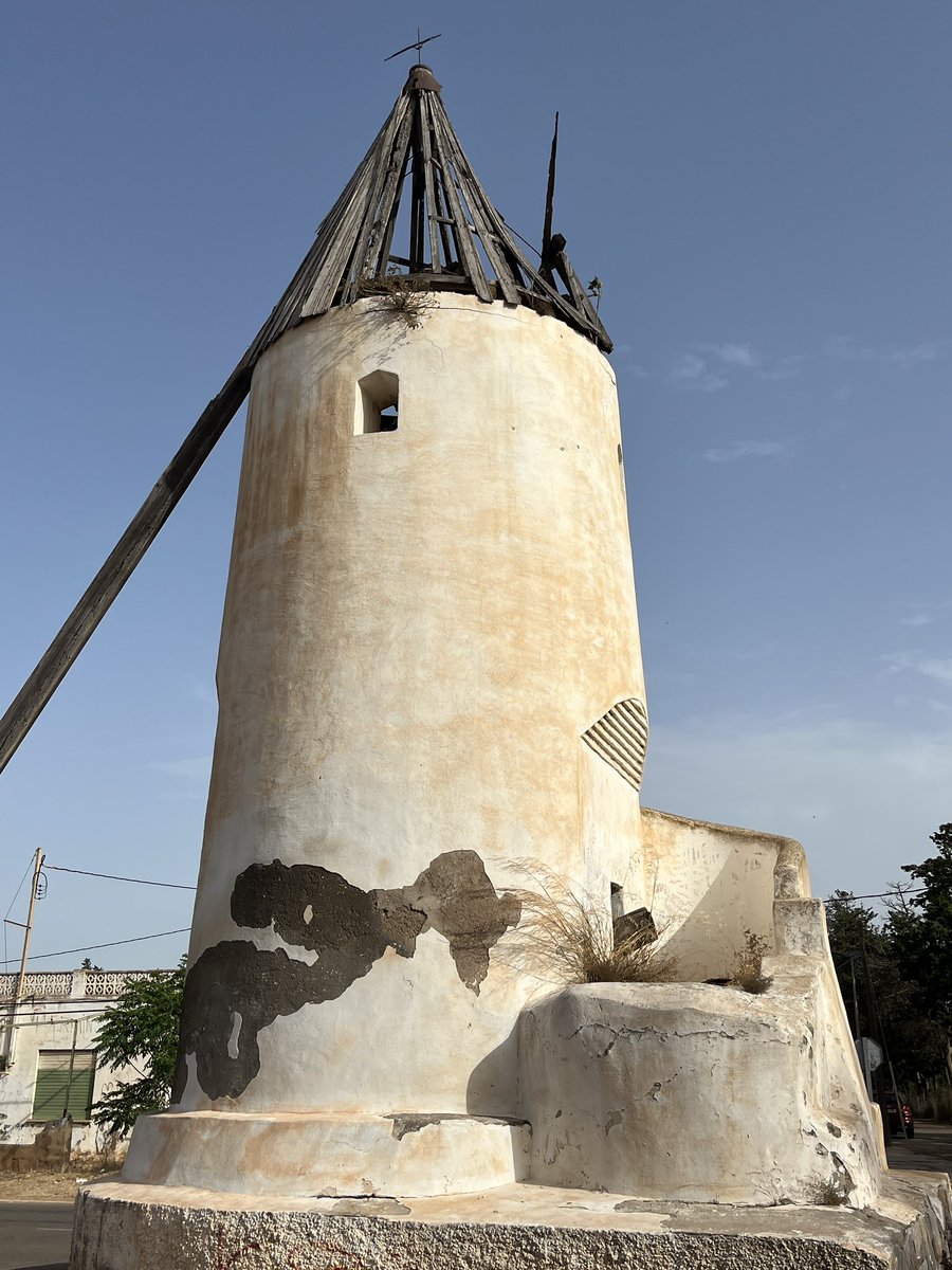 enunlugardelah1's tweet photo. 🍋 Lo de los molinos del Campo de #Cartagena es un dolor.

Hay catalogados más de 150. Restaurar unas pocas docenas y hacer visitables 5 ó 6 sería un comienzo.

Una fantasía conducir entre los paisajes del Campo de Cartagena con sus molinos restaurados. https://t.co/PnSh2SchOt