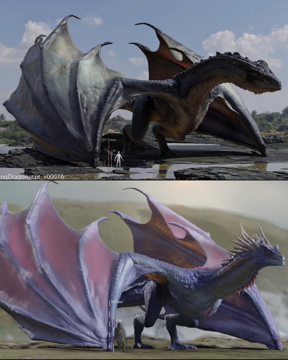 housethedragons's tweet photo. Silverwing / Dreamfyre https://t.co/aHvKi2u1ga