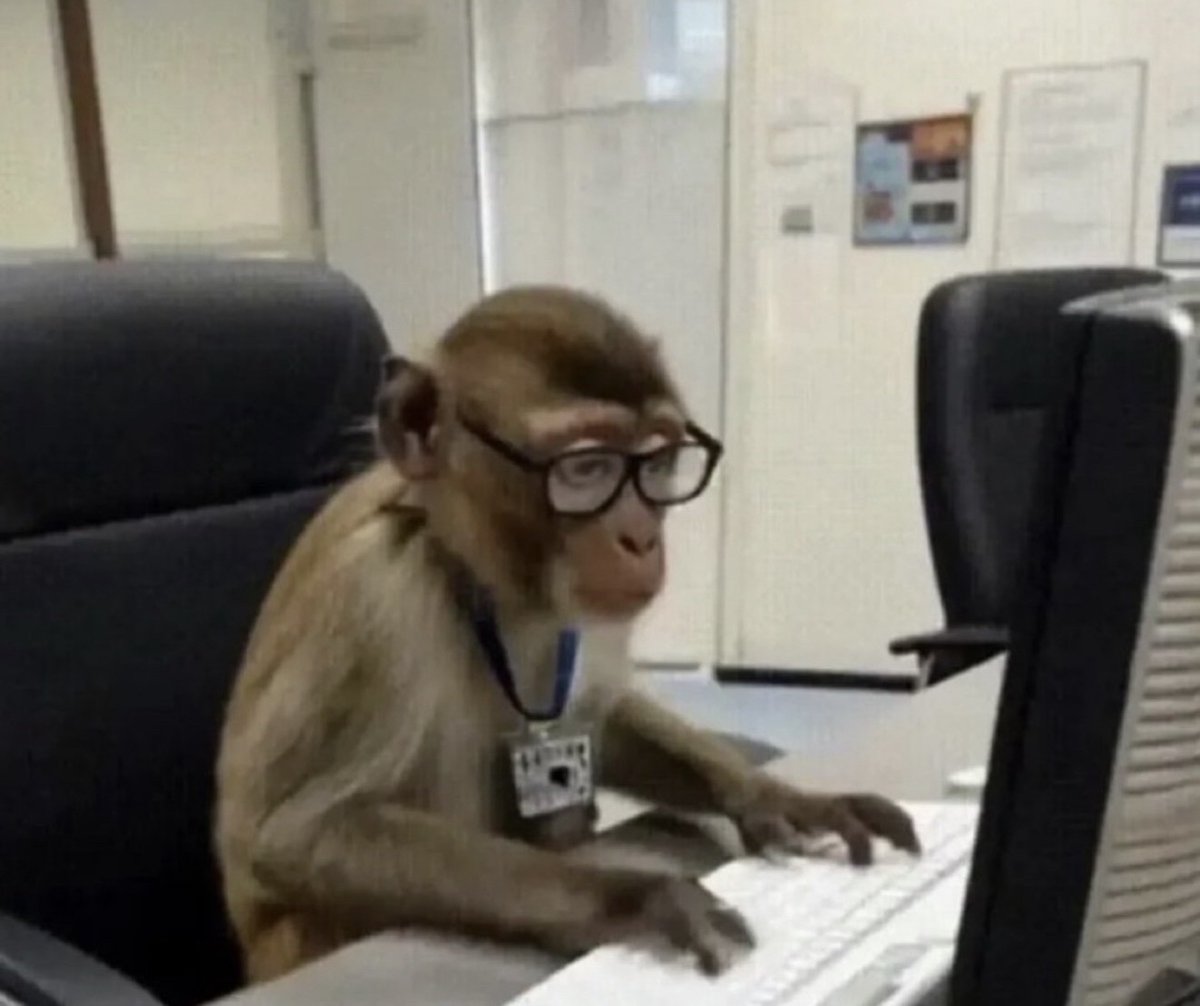 Guarromantico_'s tweet photo. Yo en mi primer día, viendo cómo borré la base de datos de toda la empresa. https://t.co/DUzqzXjHRH