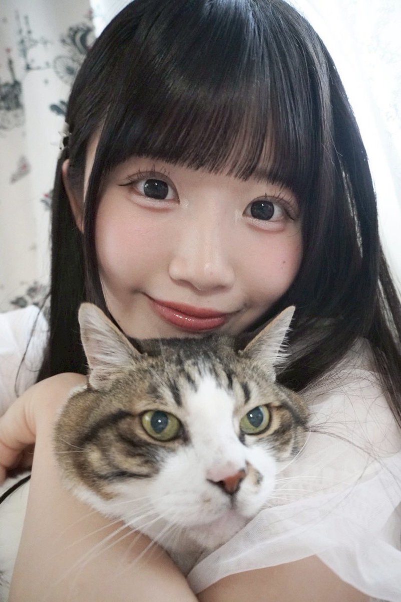 22/7(ナナブンノニジュウニ) (@227_staff) / Posts / X