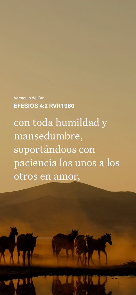 beatrizalicia's tweet photo. https://t.co/NrpY2Aon2w
