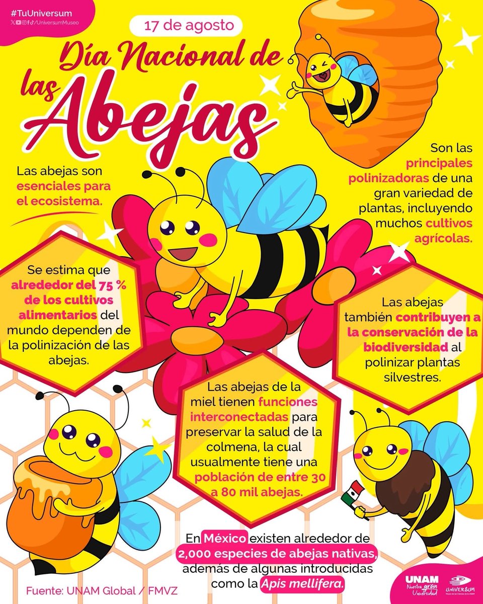 UNAM_MX's tweet photo. Con el propósito de proteger a unas polinizadoras esenciales para la vida en el planeta, #UnDíaComoHoy se conmemora el Día Nacional de las Abejas 🌻🐝 > https://t.co/CjSwBfpp2i
Infografía de @UniversumMuseo 👇. https://t.co/UjrYSPQjRU