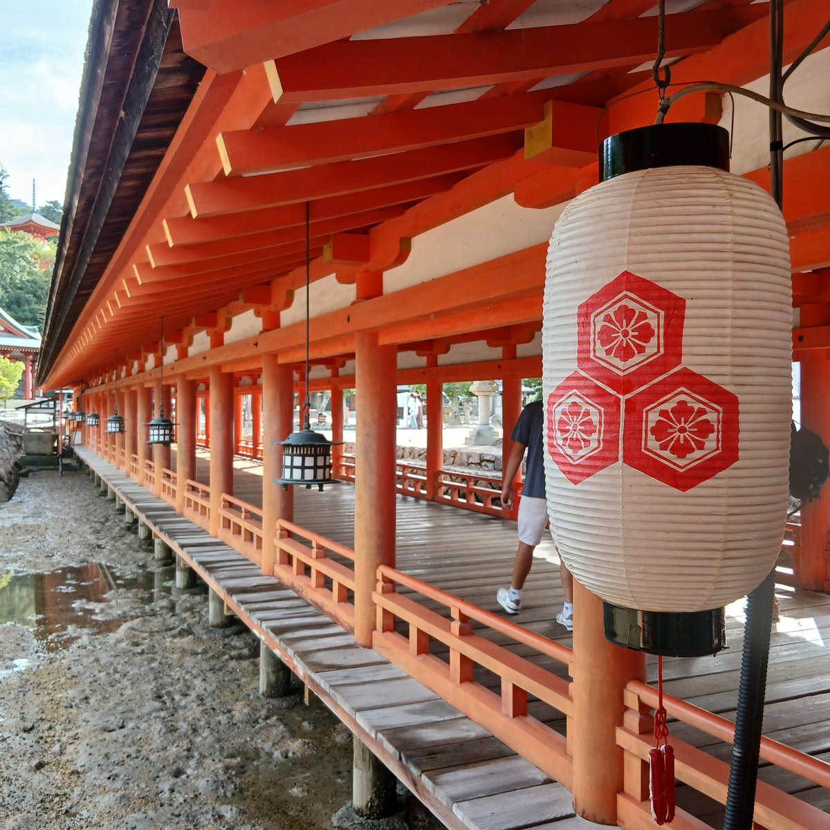 O_Hi_Ru's tweet photo. 宮島観光しました⛩️

宮島の牡蠣🦪✨

そして広島・瀬戸田産のレモンを絞ったレモンソーダ🍋✨

美しい景色に浸りながら、ゆっくり美味しさを噛みしめていただきました… https://t.co/vGV7mvvzql