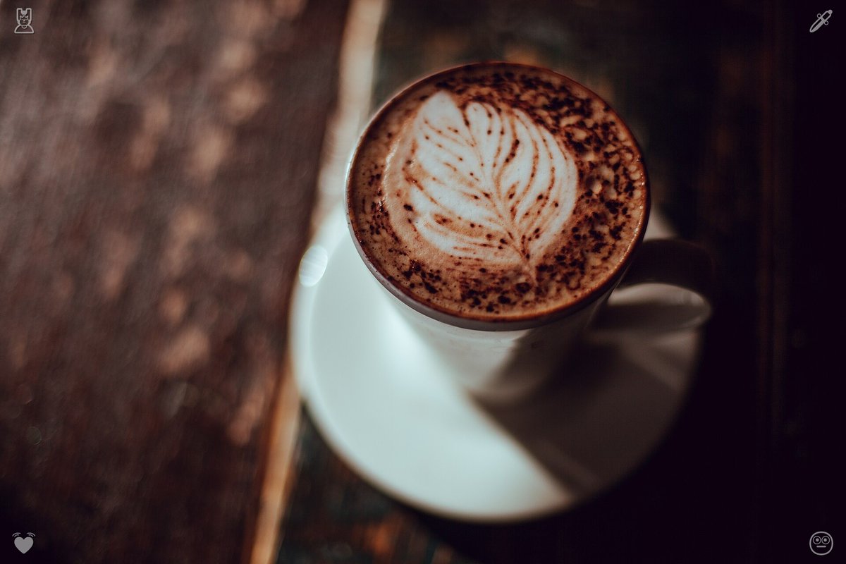 mfth_faiz's tweet photo. Coffee beside a notebook is where many useful ideas first appear before they are ready to become plans. https://t.co/ZUaljzauba