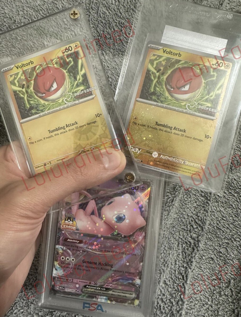 LoluFainted's tweet photo. @Aisuteon @spencergiblin @maspnell @HyperbeamTCG I have all 3 of the the 151 grails 🤙 https://t.co/FTohni0tvN