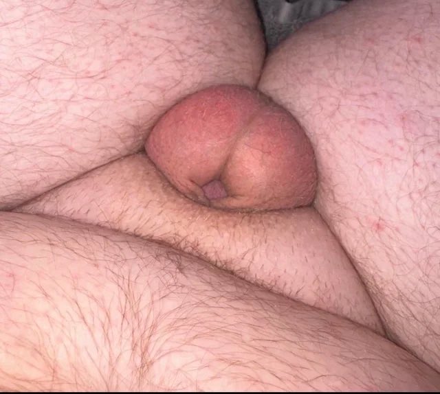 StrictAnnie's tweet photo. Rt and send a direct message now for SPH and Degradation. https://t.co/3KEThtAs3i