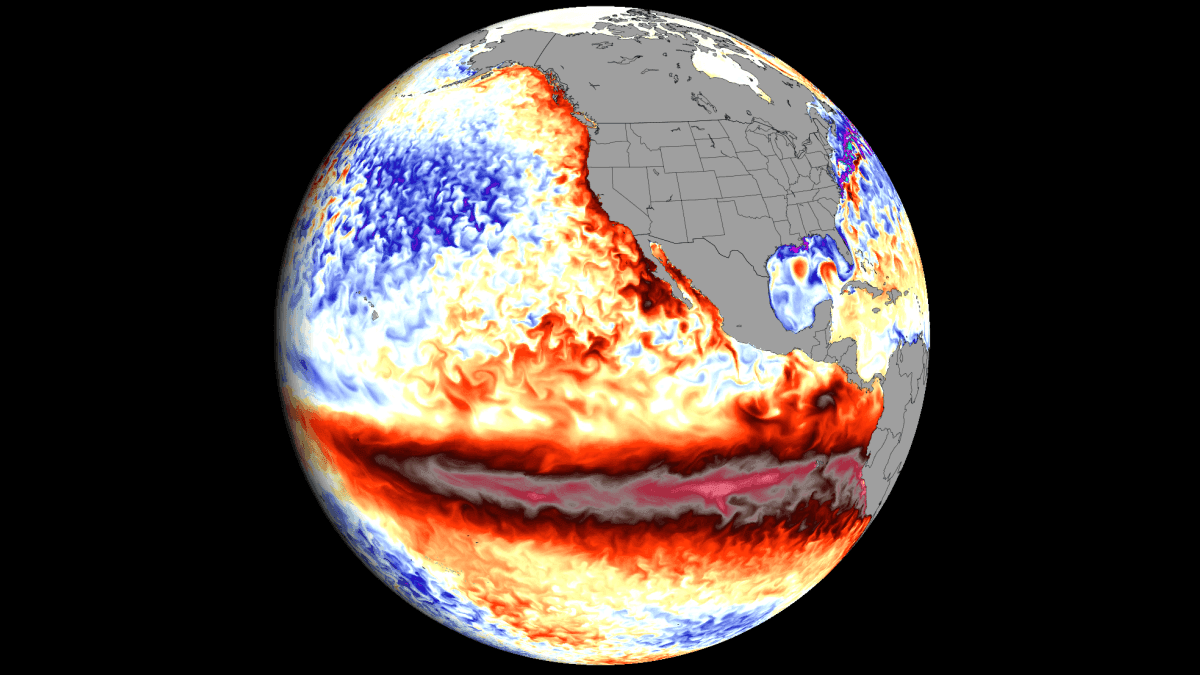 picazomario's tweet photo. Un super‑El Niño de intensidad histórica amenaza con alterar el tiempo mundial durante el otoño y el invierno de 2026-2027

El Niño de 2026 está intensificándose con una rapidez excepcional en el Pacífico tropical y podría convertirse en uno de los episodios más fuertes registrados hasta ahora. Las anomalías térmicas observadas en el océano, junto con las previsiones estacionales, apuntan a que el fenómeno continuará creciendo durante los próximos meses y alcanzará su máxima intensidad entre finales del otoño de 2026 y comienzos del invierno de 2027.

El Niño constituye la fase cálida de la Oscilación del Sur, conocida por las siglas ENSO. Se produce cuando las aguas superficiales del Pacífico ecuatorial central y oriental alcanzan temperaturas superiores a las habituales durante un periodo prolongado. Este calentamiento altera la presión atmosférica, la distribución de las lluvias tropicales y los movimientos ascendentes y descendentes del aire. Sus efectos terminan propagándose hacia otras latitudes mediante cambios en las corrientes en chorro y en la posición de los principales anticiclones y borrascas.

Las observaciones muestran extensas anomalías cálidas en el Pacífico ecuatorial, con valores localmente comprendidos entre tres y cinco grados por encima de la media en algunos sectores orientales. Bajo la superficie también se ha acumulado una cantidad considerable de agua caliente, transportada hacia el este por una potente onda Kelvin oceánica. A medida que este calor asciende y alcanza la superficie, refuerza el calentamiento existente y favorece una interacción cada vez mayor entre el océano y la atmósfera.

Los episodios de vientos del oeste registrados sobre el Pacífico tropical han contribuido a desplazar esa masa de agua cálida hacia las regiones central y oriental. Este proceso debilita los vientos alisios y facilita que el calentamiento siga extendiéndose. Si la anomalía se mantiene durante varios meses por encima de determinados umbrales, el fenómeno podría adquirir la intensidad que suele describirse, de manera informal, como un super‑El Niño.

Diversos sistemas de predicción estacional contemplan índices cercanos o superiores a tres grados durante el momento de máxima intensidad. Algunas simulaciones muestran anomalías locales todavía mayores, aunque estos valores puntuales no deben confundirse con la temperatura media utilizada para clasificar el episodio. La coincidencia entre varios modelos refuerza la posibilidad de un fenómeno excepcional, pero su magnitud definitiva solo podrá determinarse una vez observado su desarrollo real y su persistencia.

La atmósfera también empieza a mostrar señales compatibles con El Niño. Sobre el Pacífico central y oriental están apareciendo presiones más bajas, mayor movimiento ascendente del aire y un aumento de la actividad tormentosa tropical. Al mismo tiempo, en el Pacífico occidental predominan movimientos descendentes y presiones relativamente más elevadas. Esta reorganización de la circulación de Walker permite que la influencia del calentamiento oceánico se transmita al resto del sistema atmosférico.

El fortalecimiento de esta respuesta puede generar una anomalía atmosférica relativamente estacionaria sobre el Pacífico. Desde allí, las ondas planetarias propagan la señal hacia Norteamérica y, posteriormente, hacia el Atlántico y Europa. Cuanto más intenso y persistente sea el calentamiento tropical, mayores serán sus posibilidades de modificar las trayectorias habituales de los sistemas meteorológicos.

Durante el otoño de 2026 podría comenzar a establecerse una configuración más propia del invierno. Las previsiones sugieren la presencia de una extensa zona de bajas presiones en el Pacífico norte y un área de presiones más altas sobre Canadá. Al sur, la corriente en chorro subtropical podría ganar intensidad y conducir sucesivas borrascas hacia el sur de Estados Unidos. Sobre el Atlántico norte también podrían desarrollarse bajas presiones capaces de alcanzar el entorno de Irlanda y el Reino Unido, favoreciendo una circulación occidental o suroccidental sobre Europa.

En Estados Unidos, el patrón más probable situaría las temperaturas superiores a la media en buena parte del norte, mientras que el sur quedaría expuesto a un tiempo más variable y húmedo. La corriente subtropical reforzada transportaría humedad desde el Pacífico y aumentaría la frecuencia de las borrascas, con más precipitaciones en los estados meridionales y, potencialmente, en algunos sectores de la costa oeste. 
Las temperaturas podrían mantenerse más próximas a los valores normales en el sur debido a la mayor nubosidad y actividad de las bajas presiones.

Esta configuración podría prolongarse durante el invierno de 2026-2027. El corredor de borrascas se extendería desde el Pacífico hasta el golfo de México y la costa atlántica, aumentando el riesgo de precipitaciones abundantes en la mitad sur del país. El norte tendería a registrar temperaturas más suaves, aunque eso no impediría la aparición de irrupciones frías o nevadas intensas durante periodos concretos.

En Canadá, las temperaturas podrían situarse por encima de la media, especialmente en las regiones occidentales y meridionales. El desplazamiento hacia el norte de la corriente en chorro polar reduciría la frecuencia de algunas irrupciones árticas prolongadas y podría dejar condiciones relativamente secas en zonas occidentales y centrales. Sin embargo, una media estacional templada no significa que vayan a desaparecer los episodios de frío extremo.

La influencia sobre Europa resulta mucho menos directa. La distancia respecto al Pacífico y la intervención de otros factores, como la Oscilación del Atlántico Norte, el vórtice polar, la circulación estratosférica y las temperaturas del Atlántico, dificultan establecer una relación sencilla entre El Niño y el tiempo europeo. Aun así, la configuración prevista favorecería inicialmente temperaturas superiores a la media en amplias zonas occidentales, centrales y sudorientales del continente.

La presencia de bajas presiones en el Atlántico norte podría impulsar vientos del oeste y suroeste, transportando masas de aire relativamente templadas hacia Europa. Irlanda y el Reino Unido quedarían más expuestos al paso de borrascas atlánticas. Más al sur, una prolongación de la corriente subtropical hacia el Atlántico y el Mediterráneo podría incrementar las precipitaciones en algunas regiones, aunque su distribución dependería de la posición exacta de los centros de presión.

En España, este escenario podría traducirse en una mayor probabilidad de entradas atlánticas y episodios de lluvia, principalmente en el oeste y el sur peninsular. Los flujos del suroeste favorecerían temperaturas suaves y el transporte de aire húmedo subtropical. Si esa humedad coincidiese con bajas presiones próximas a la Península, podrían producirse precipitaciones intensas. No obstante, El Niño no garantiza por sí solo un otoño o un invierno lluvioso en España, ya que pequeños desplazamientos de las borrascas pueden generar resultados muy diferentes.

Un super‑El Niño puede amplificar las anomalías estacionales y aumentar el riesgo de inundaciones, sequías, olas de calor, cambios en las temporadas de nieve y alteraciones importantes en las trayectorias de las tormentas. Estos efectos no se producen de igual manera en todas las regiones: mientras unas reciben más precipitaciones, otras pueden experimentar déficits prolongados.

Las previsiones a varios meses deben interpretarse como tendencias generales y no como pronósticos diarios. Los mapas estacionales representan el promedio de periodos extensos, por lo que una región más cálida de lo normal todavía puede sufrir episodios de frío, del mismo modo que una zona con tendencia húmeda puede atravesar varias semanas sin lluvias.

La señal más consistente apunta, por ahora, al fortalecimiento de El Niño y a una influencia creciente sobre la circulación atmosférica mundial. La posibilidad de que alcance una intensidad histórica es significativa, aunque todavía está sujeta a incertidumbre. Sus consecuencias se manifestarían con mayor claridad en Norteamérica, mientras que la evolución de Europa y España dependerá en gran medida del comportamiento del Atlántico y de la circulación polar durante el otoño y el invierno de 2026-2027.