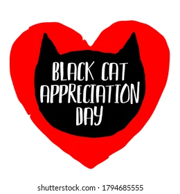 Tiofelino's tweet photo. Hoy es el día de apreciación del gato negro. Presume a tu gatito/a negro 🐱🐾 https://t.co/oQ9Q2mHYUA