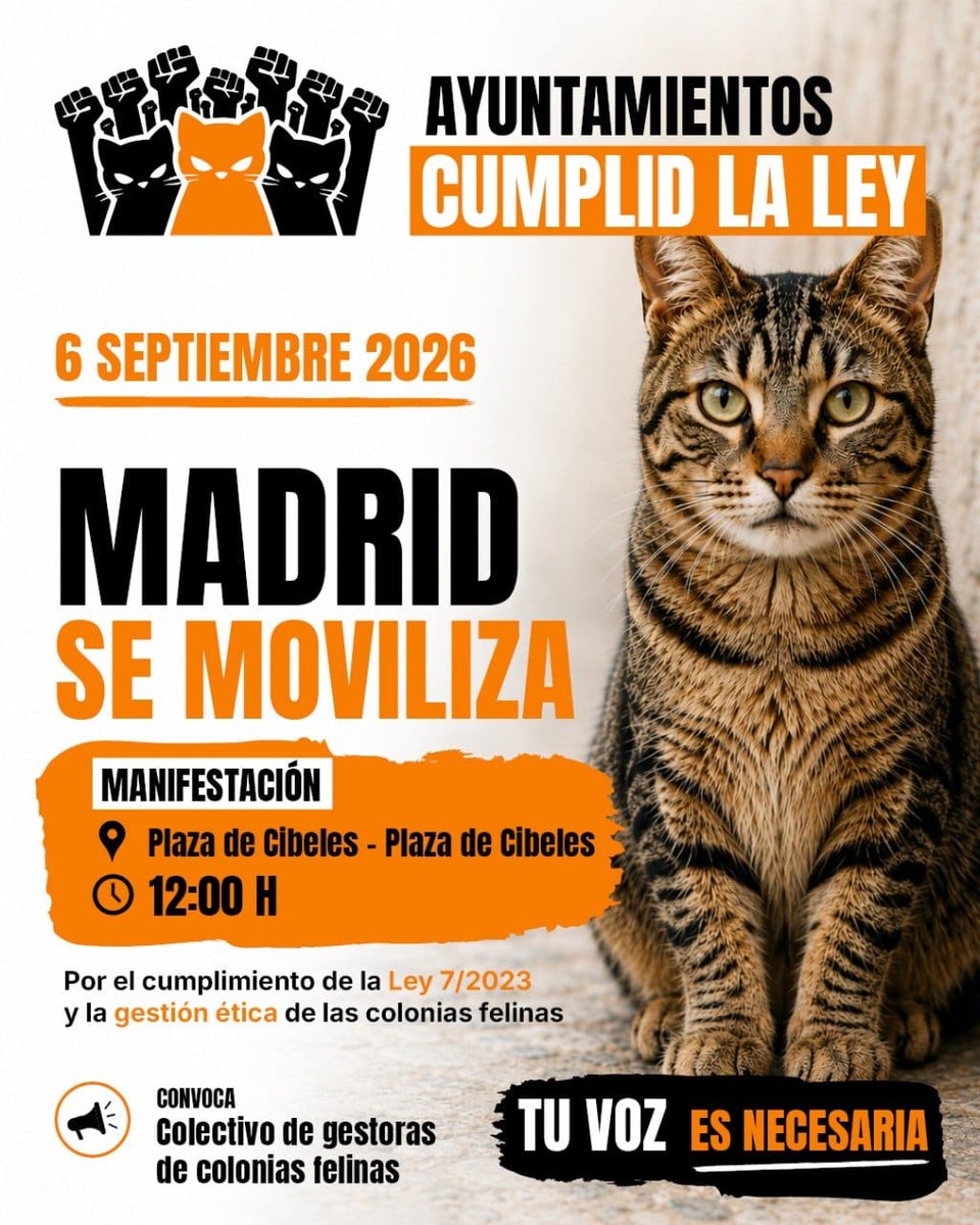 aelmusell's tweet photo. ¡Ya estamos preparados en Madrid, COMPÁRTELO✊🐱Juntos somos más fuertes!
https://t.co/vnLfe0h1zj https://t.co/YeyTVz6wHc