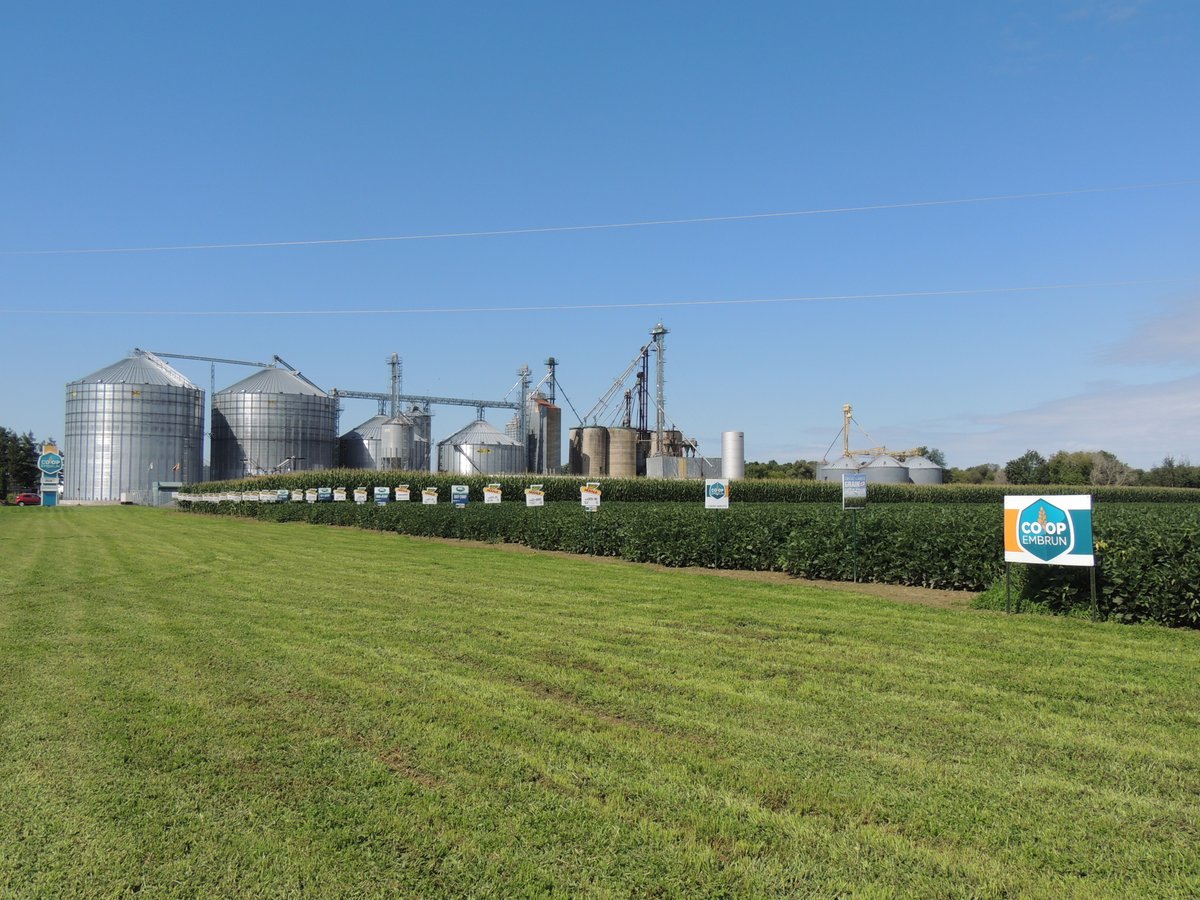 CoopEmbrun's tweet photo. 🌾 Agriculteurs, rendez-vous ce jeudi !
Venez découvrir les dernières variétés de semences et l'impact de différents intrants lors du tour de notre parcelle d'essais. Lunch inclus !

📅 Jeudi 20 août | 11 h à 15 h
📍 Élévateurs à grain Coop Embrun

Contactez votre représentant Coop pour réserver votre place !
--
🌾 Growers, join us this Thursday!
Tour our test plot to discover the latest seed varieties and see the impact of different crop inputs. Lunch included!

📅 Thursday, August 20 | 11 am to 3 pm
📍 Embrun Co-op Grain Elevators

Contact your Co-op representative to reserve your spot!

#CoopEmbrun #Ontag #TestPlot #Growers #Agriculteurs @DEKALB_Canada @syngentacanada