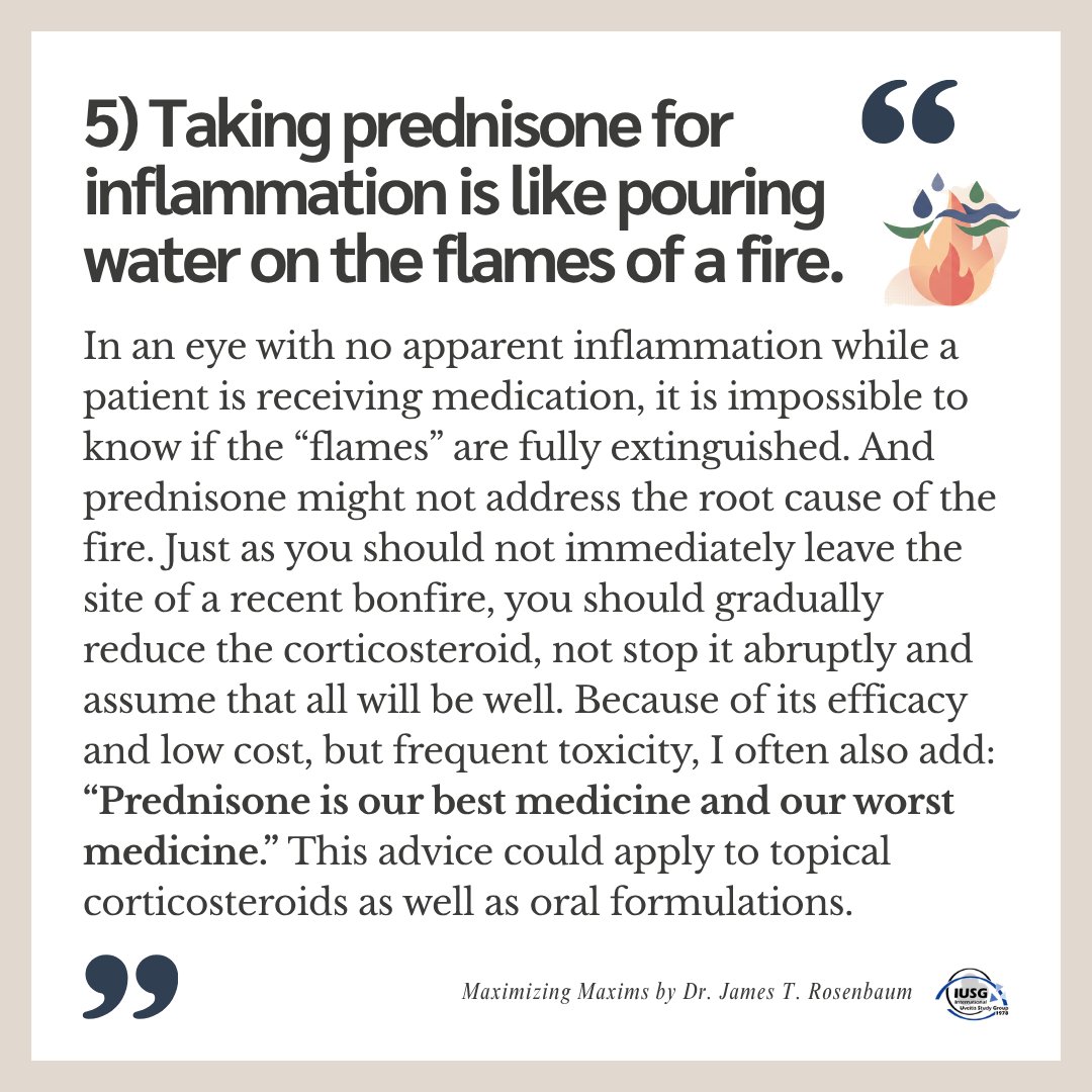 iusg_official's tweet photo. @DrNimaGhadiri ..A strength of the IUSG is that it unites ophthalmologists from many cultures and perspectives. I assume that junior providers will pick and choose from my suggestions, but my hope is that every reader can find at least one aphorism from this list to benefit their practice." https://t.co/83G2Ey7qDR