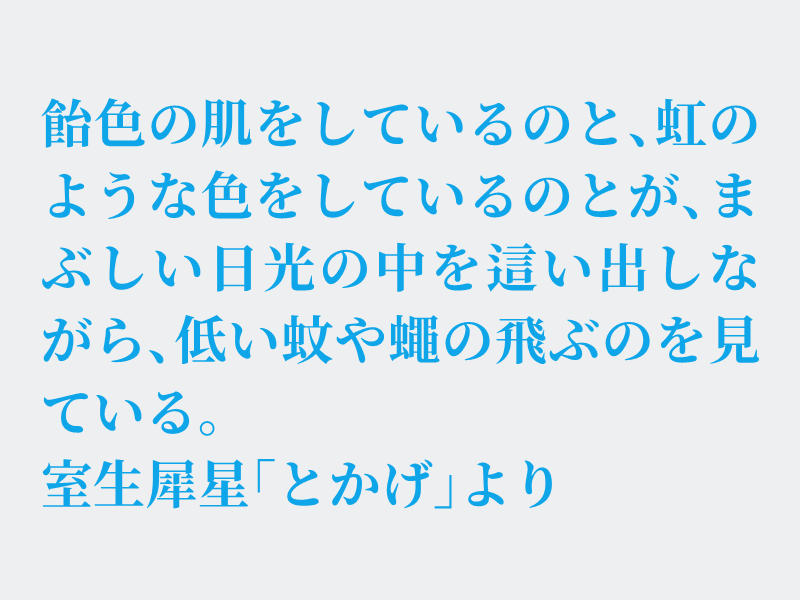img_shosha's tweet photo. No.1635 室生犀星「とかげ」より #空想書写
子供の頃、トカゲを見つけると非常にテンションがあがりました。お題でいう虹色のトカゲはニホントカゲの幼体ですね。子供の頃はそのトカゲを「かがみっちょ」と呼んでいましたが方言のようです。それでは、どうぞ。 https://t.co/Vzy3lIzYgX