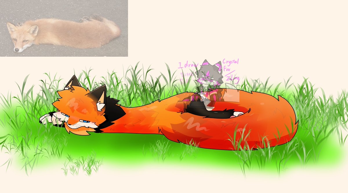 LingFox_CN's tweet photo. foxybug :3 https://t.co/WitYcQVvlN