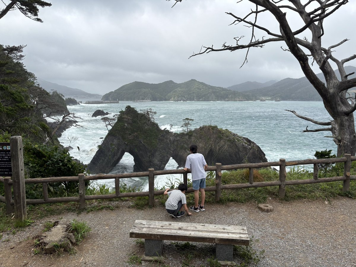 vitalogy01's tweet photo. 先週は東北方面に家族旅行に行ってました。
実家に寄りつつ、石巻と陸前高田。
石巻はネコちゃんが居る民泊、高田は民宿とキャンプ。
天候は雨がちでしたがのんびり楽しんできました。子供の頃に帰省した時を思い出しながら、久しぶりに食べたホヤがおいしかった。祖父母がよく出してくれたなあ。 https://t.co/7l5wMxYMof