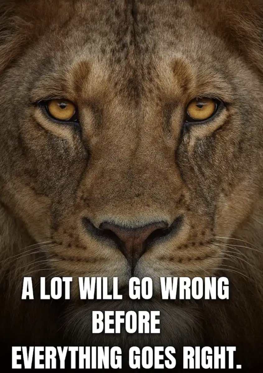 leadwithlove55's tweet photo. Stay Focused 💯 https://t.co/M3c9JcqFFr