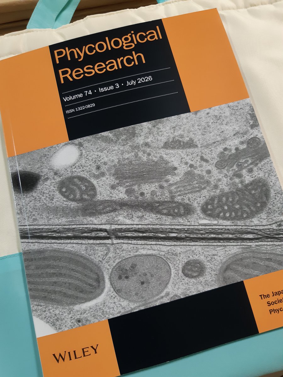 clado_glomerata's tweet photo. 今日届いた
『Phycological Research』

沖永良部島で日本新産のイワヅタ類2種を報告。
・トゲシダヅタ(Caulerpa andamanensis)新和名
・コバイワヅタ(C. minuta)新和名

はえ～、すっごい。
見た目、マイクラのドリップリーフなのよ。 https://t.co/G7EmCNk6pH