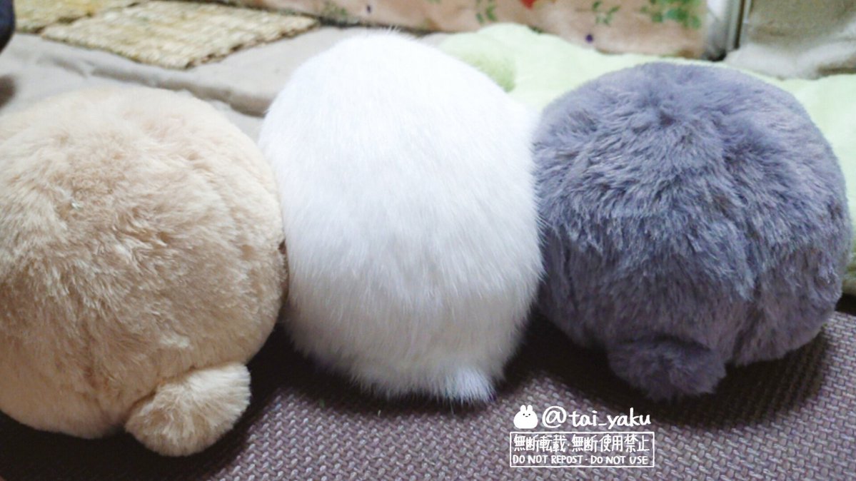 tai_yaku's tweet photo. うさけつボールに紛れる毛玉さん https://t.co/Bk06Pnb30W