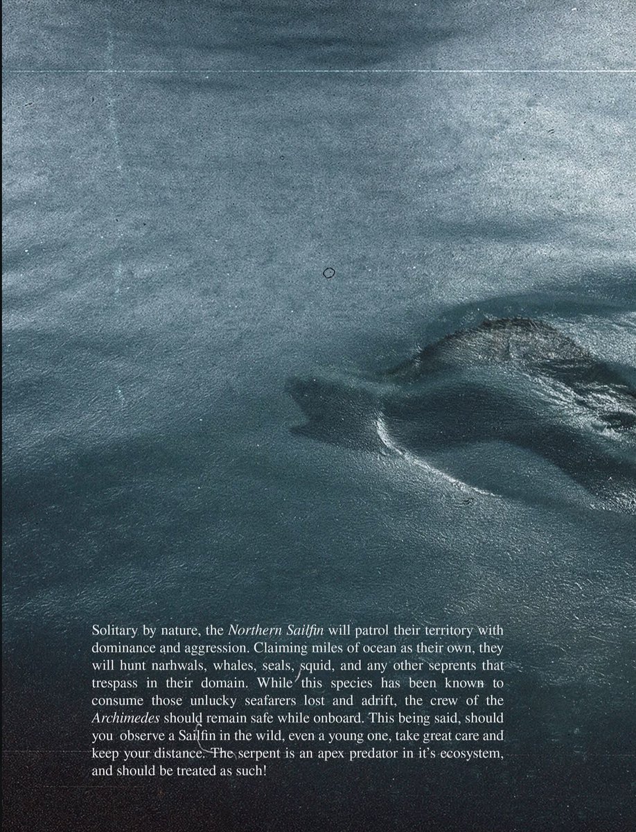 Sailfinserpent's tweet photo. The real non chalant animal ever existed $Sailfin https://t.co/Sr9ygdzJjN