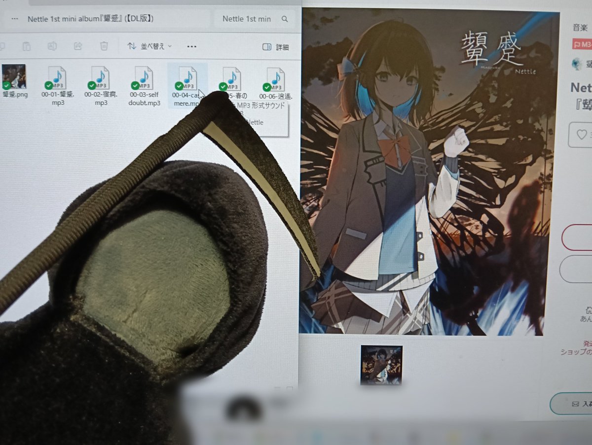 k*h様 アボガド6 慧眼猫コロネ 5/66 【抽選・直筆サイン入り】 ボカロ大好きアボガド6 på X: 