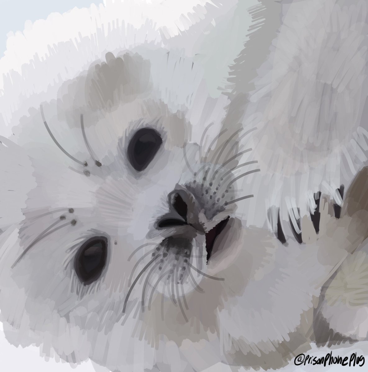 prisonphoneplug's tweet photo. I love this russian seal stream all his music 

@yngbless https://t.co/BdPpZGcNgT