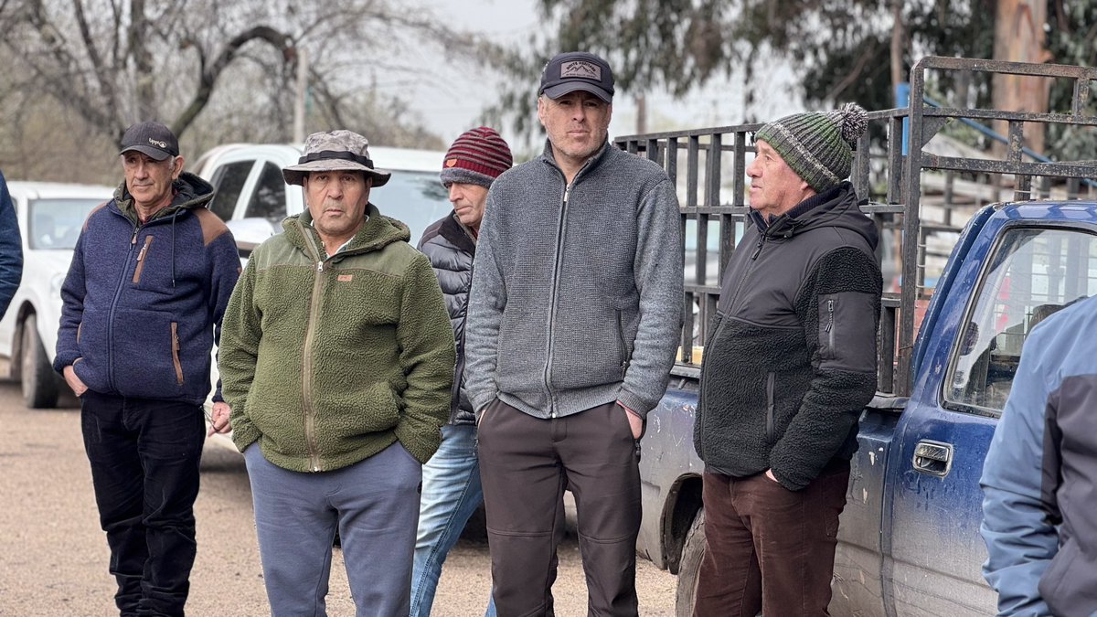 INDAP_Chile's tweet photo. INDAP entregará 65 toneladas de concentrado a 130 productores 🧑‍🌾👩‍🌾  hasta ahora catastrados con efectos en fuentes de alimentación animal en #Ñuble La Subdirectora nacional s Antonella Pecchenino participó en el inicio del reparto en San Carlos 
➕ INFO👉 https://t.co/g5xp2Vnk2n https://t.co/SJ1V08O0L0