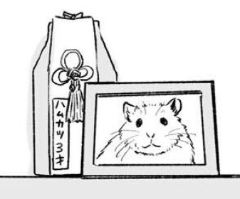 WAAAN_NABEEE's tweet photo. @ken_666 @azC9SpIZMH74182 ハムちゃんに詳しくはないのですが、作中でハムスターは3年が寿命というような説明があり、最終回でこんなのが小さく描かれていたのでそういうことなのかな？と🐹 https://t.co/QYLfG1cLGZ