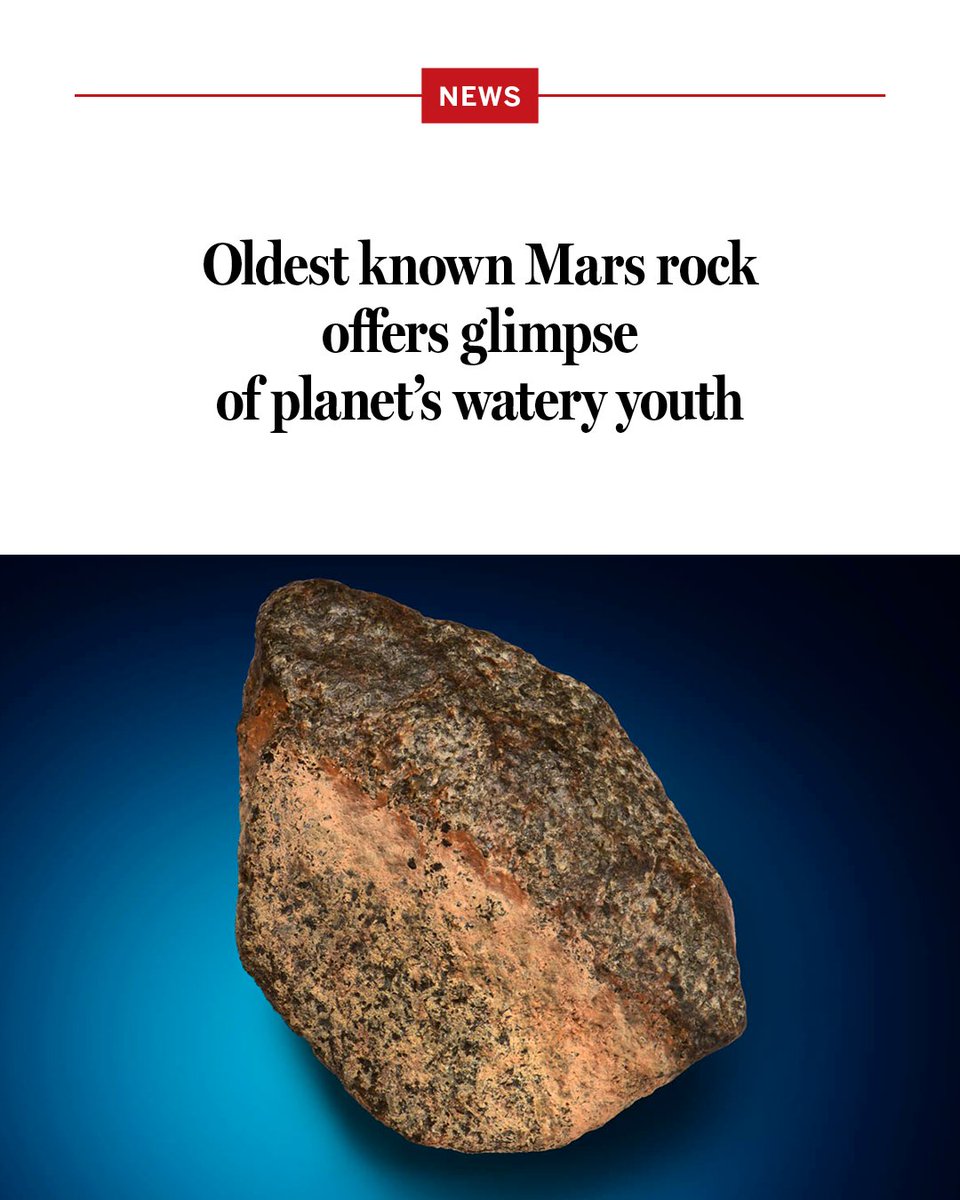 NewsfromScience's tweet photo. A meteorite discovered 4 years ago may be the oldest ever identified from Mars, preserving a fragment of the planet’s crust from more than 4.1 billion years ago. 

Although analyses are still unfolding, the nearly 800-gram rock, which split into eight pieces, is already offering an unprecedented glimpse of the planet’s watery youth—and challenging traditional views about how its crust formed.

Learn more: https://t.co/gbeaixwcoE