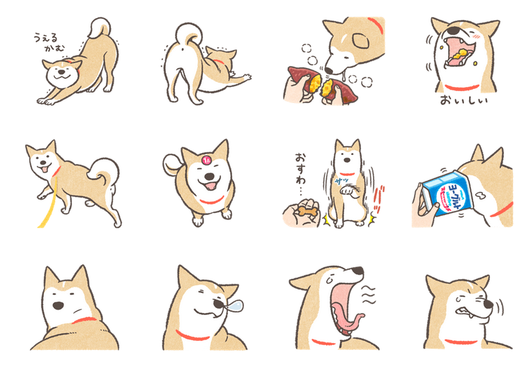 momokera_'s tweet photo. 有難くもフォロワーさんが増えたようなので、自己紹介します。
弊アカウントの中の者、これ犬描きでございます。
犬の絵を描いたり、犬の絵を描いたり、はたまた犬の絵を描いたりします。犬LINEスタンプも作ります。こないだは着せかえも出しました。
よろしくお願いぬします
https://t.co/dTbGcUlZkz https://t.co/3UMD8bJezA