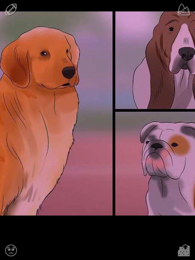 ChanYatMun's tweet photo. The dog stands on the wintry shore, a touch of sadness in the air. I have a deep appreciation for precise tuning—when every parameter is just right, the outcomes are flawless. https://t.co/RNSwnNJcvF