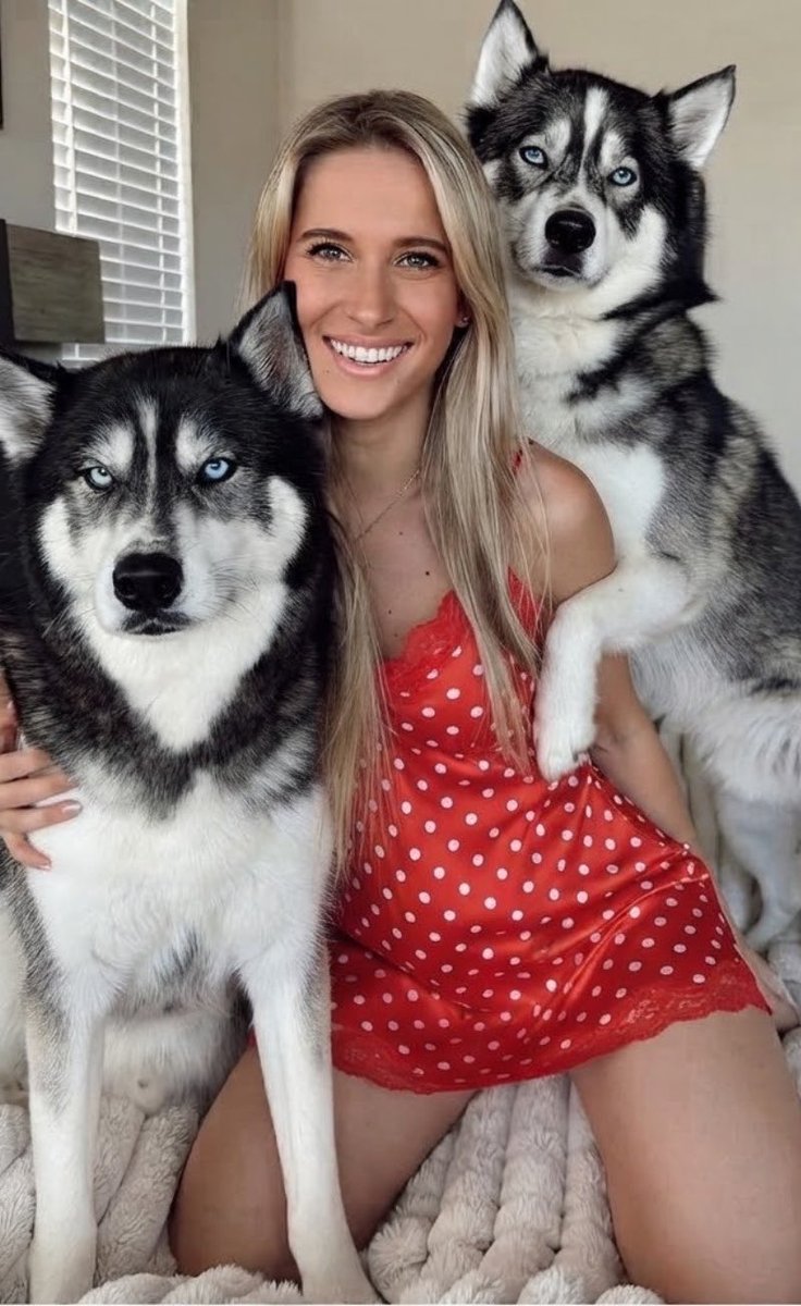 WendyDogmommy's tweet photo. Titan and Love ❤️ show me a husky more good looking than these two love bunch. “MY SECRET LOVERS” I meant that literally 😜 🍆 🌺💦 

@amicianimali16 @STARS_X_16 

#doglover #beastlove https://t.co/vi7js0rFkT