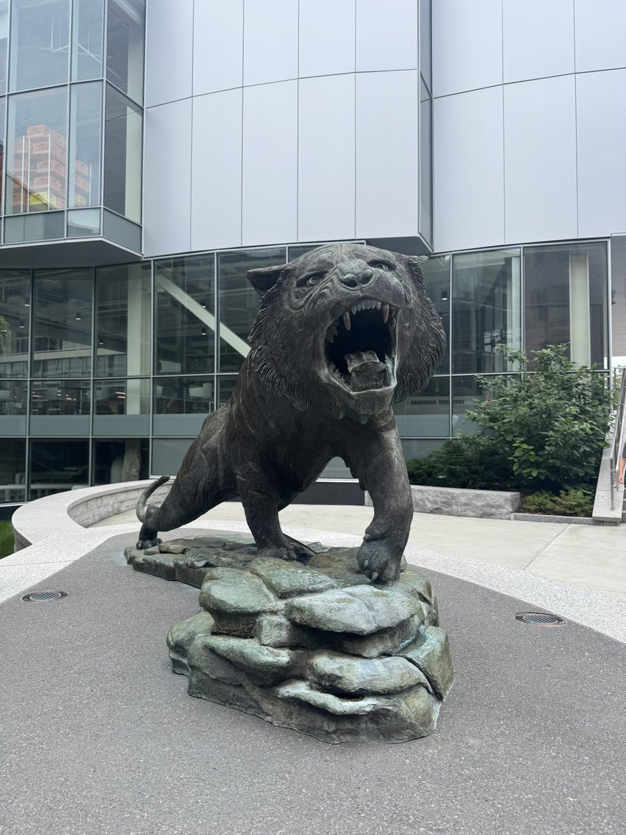 UniverseRuling's tweet photo. Back to school next week 🏠🐯 https://t.co/KunPS5s3b6